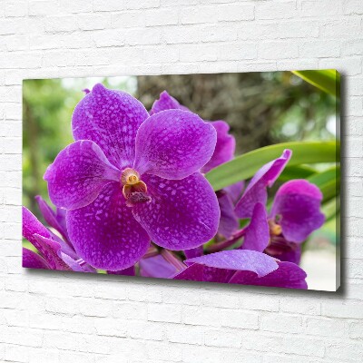 Tableau imprimé sur toile Fleur d'orchidée