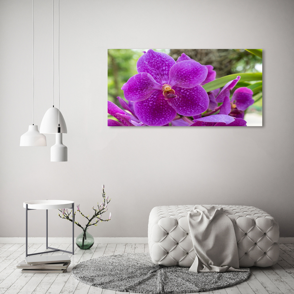 Tableau imprimé sur toile Fleur d'orchidée