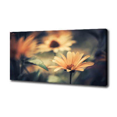 Tableau photo sur toile Fleur de printemps