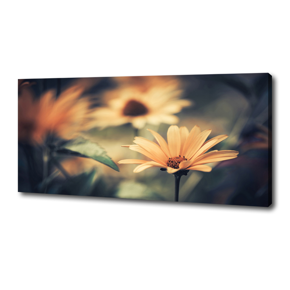 Tableau photo sur toile Fleur de printemps