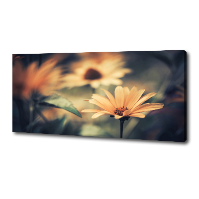 Tableau photo sur toile Fleur de printemps