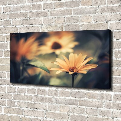 Tableau photo sur toile Fleur de printemps