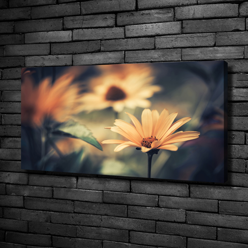 Tableau photo sur toile Fleur de printemps