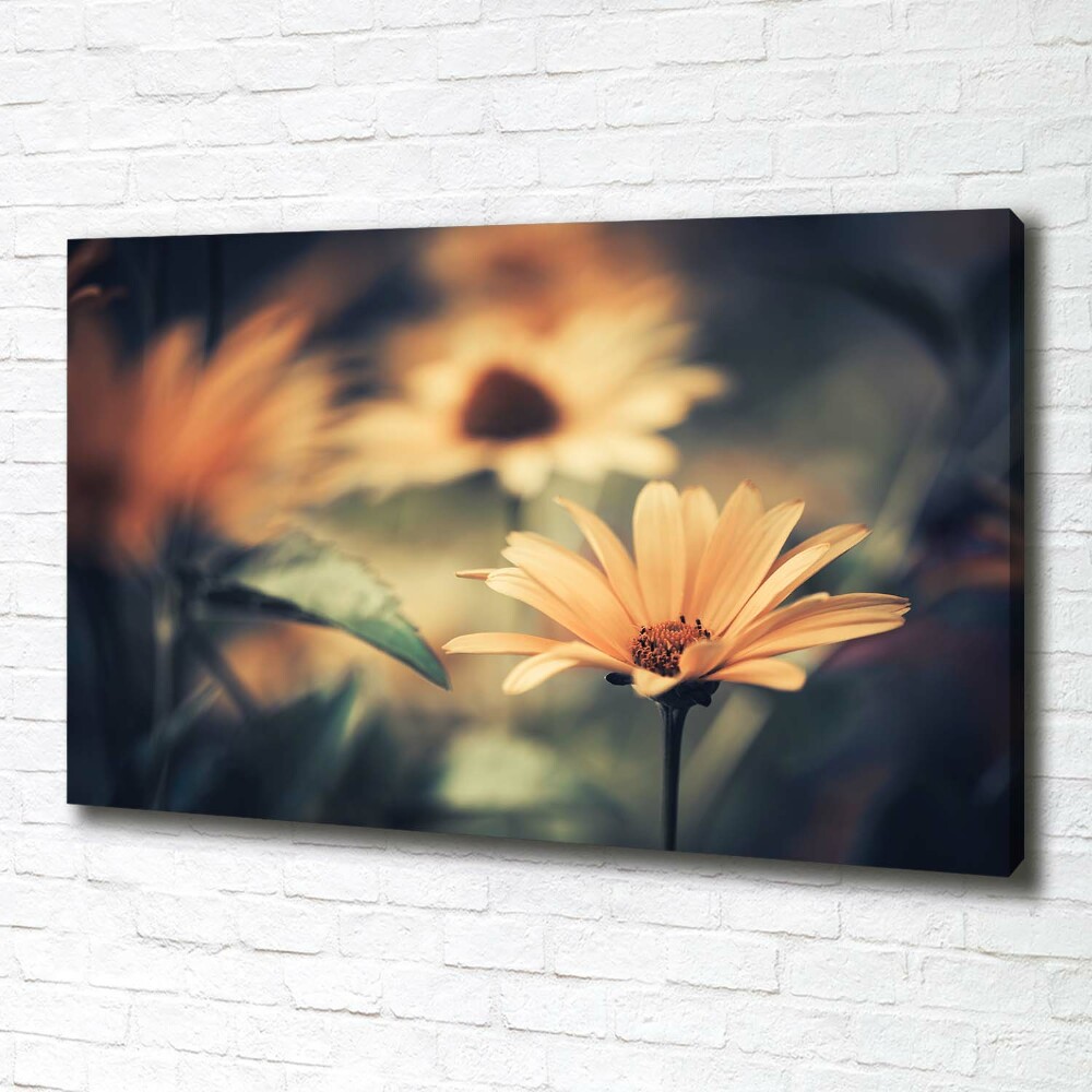 Tableau photo sur toile Fleur de printemps