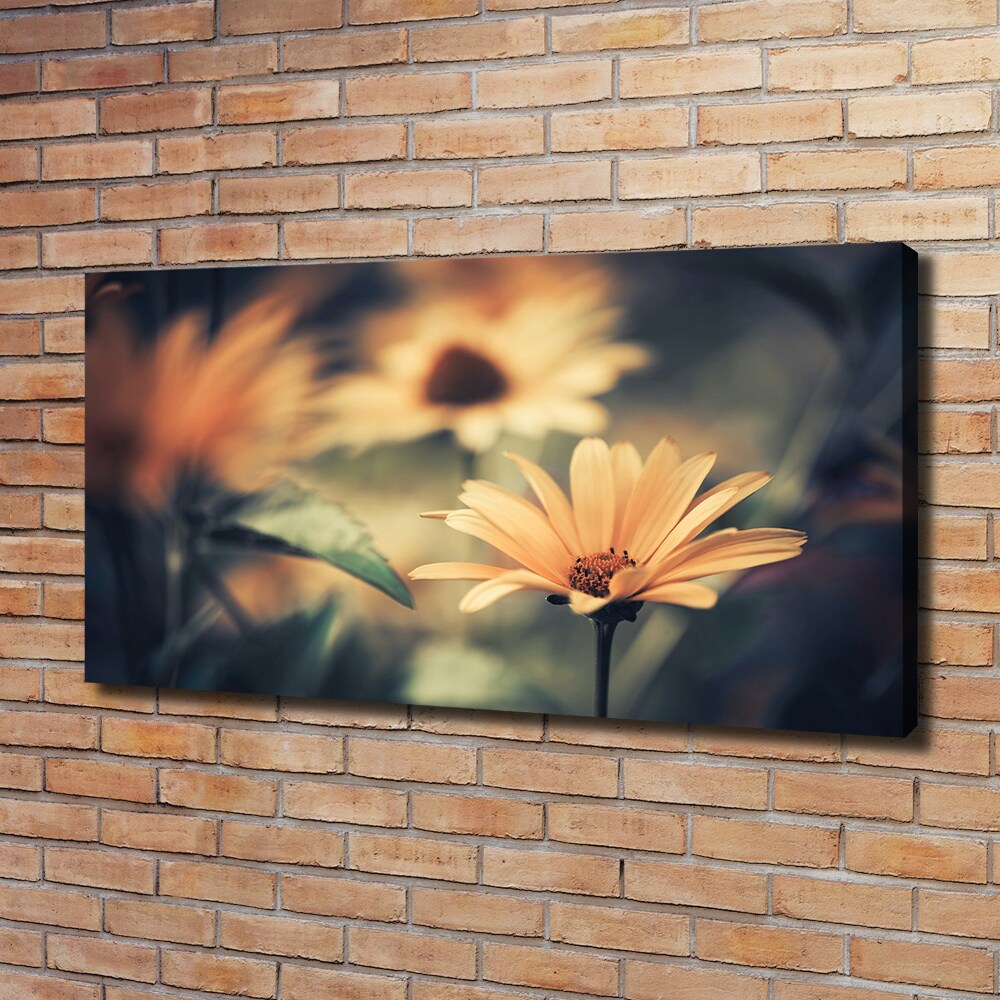 Tableau photo sur toile Fleur de printemps