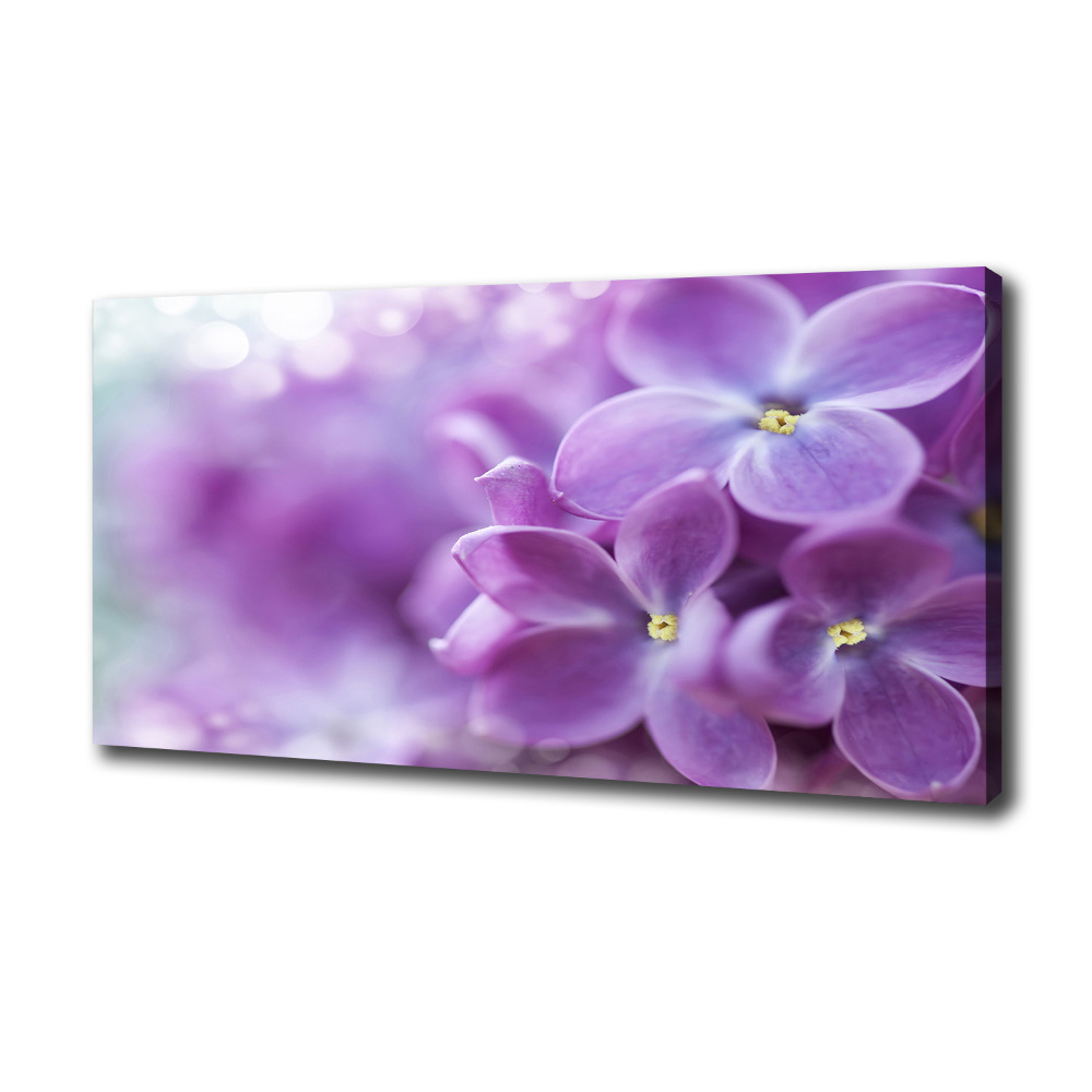 Tableau imprimé sur toile Fleurs de lilas