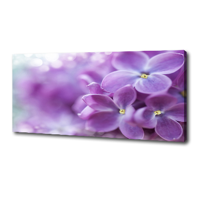 Tableau imprimé sur toile Fleurs de lilas