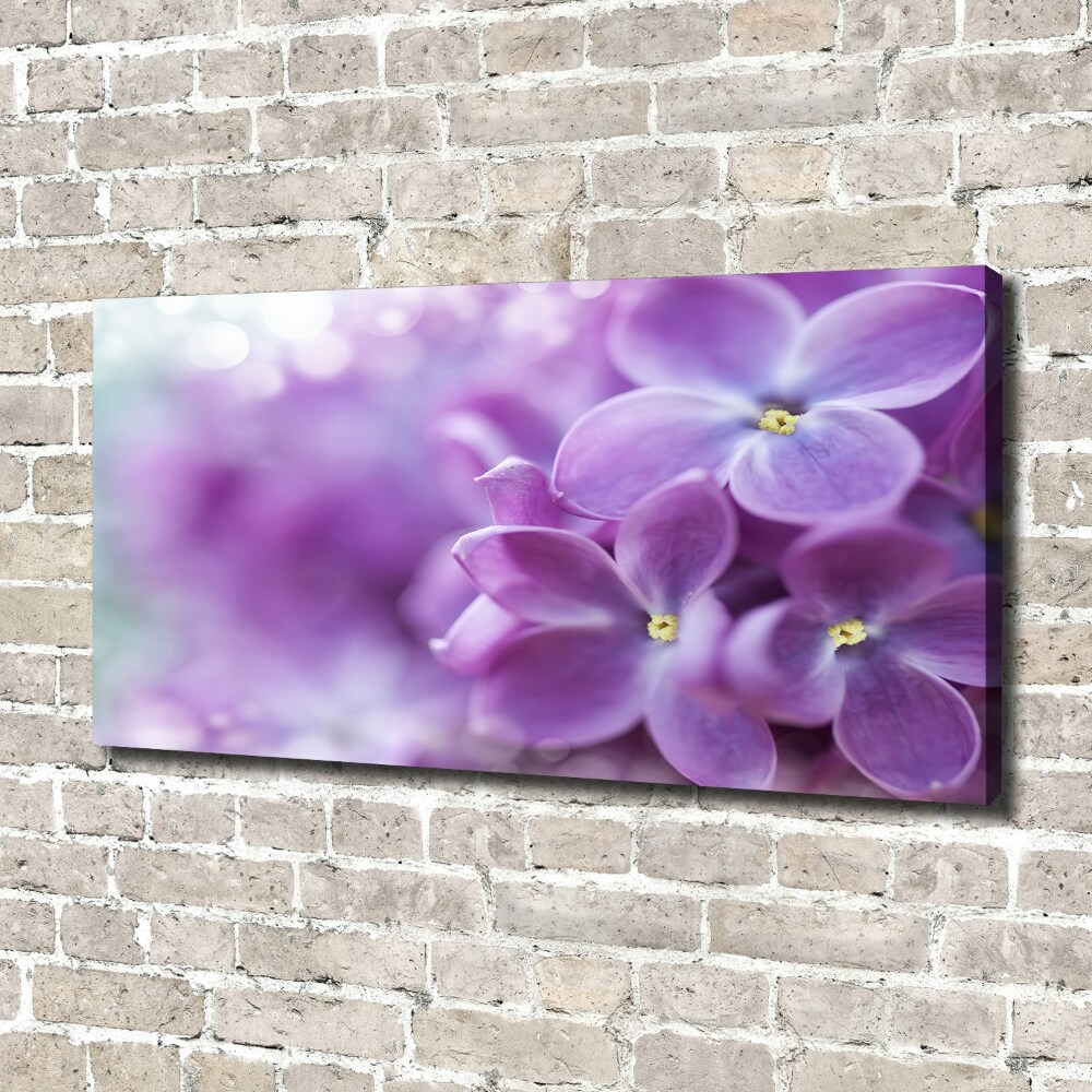 Tableau imprimé sur toile Fleurs de lilas