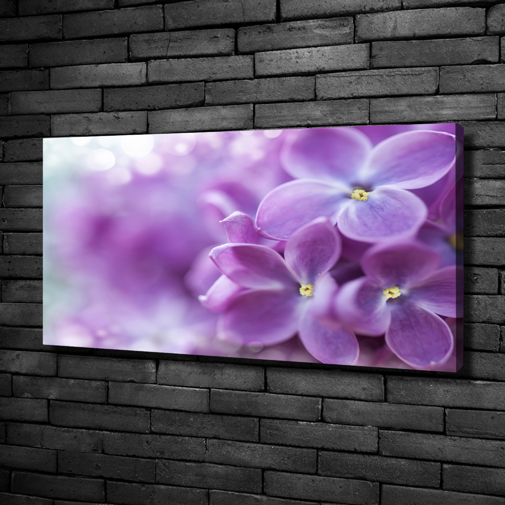 Tableau imprimé sur toile Fleurs de lilas