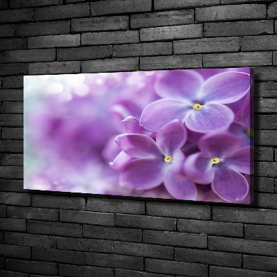 Tableau imprimé sur toile Fleurs de lilas