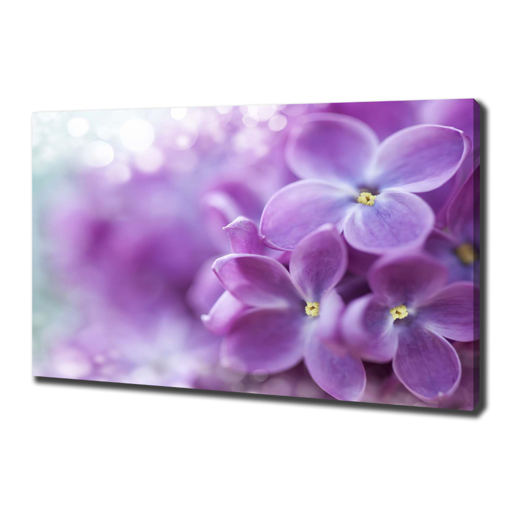 Tableau imprimé sur toile Fleurs de lilas