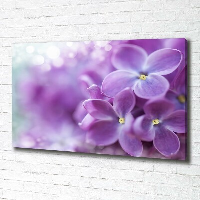 Tableau imprimé sur toile Fleurs de lilas