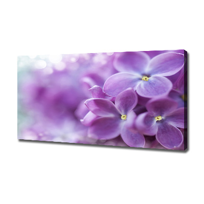 Tableau imprimé sur toile Fleurs de lilas