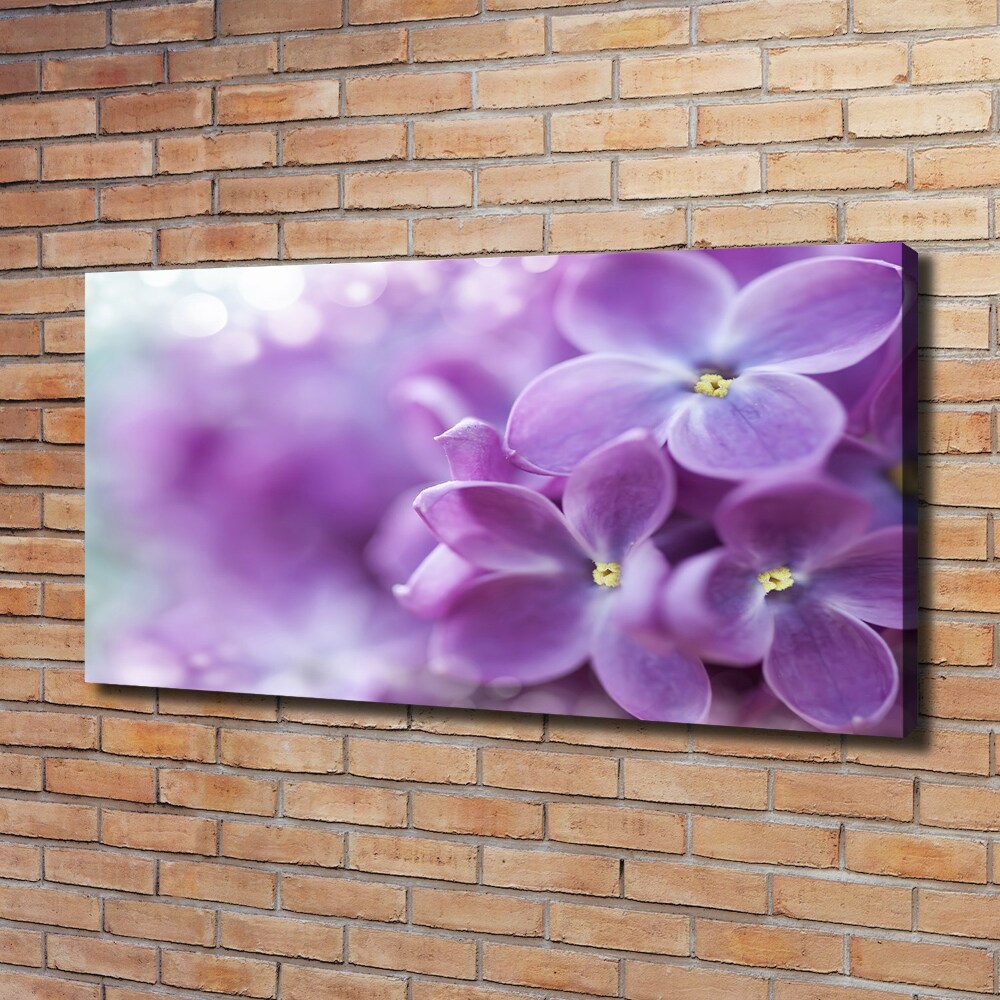 Tableau imprimé sur toile Fleurs de lilas