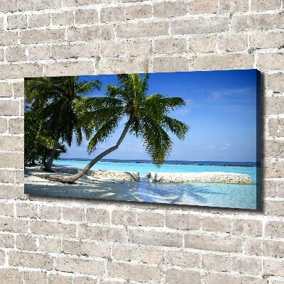 Tableau mural sur toile Plage exotique