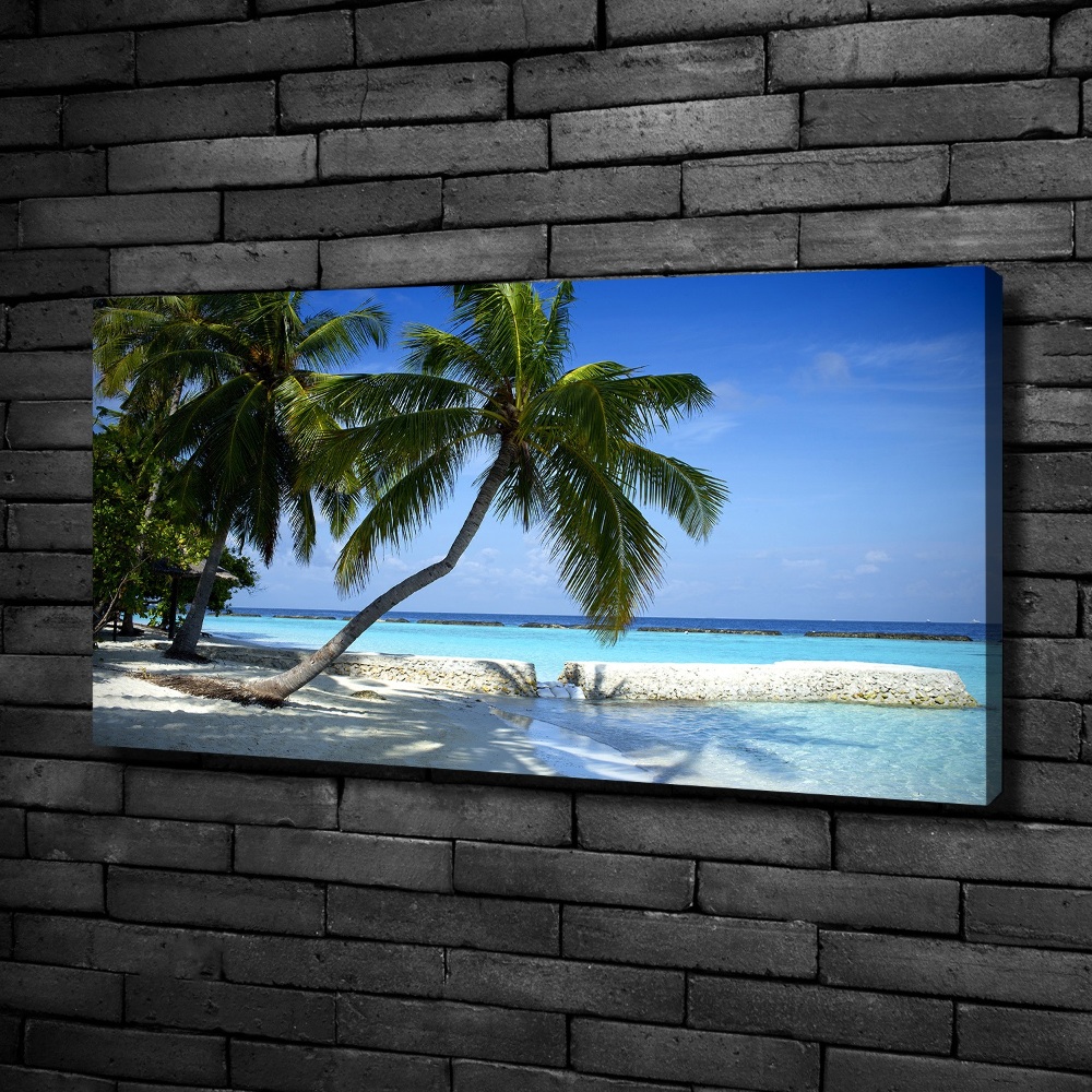 Tableau mural sur toile Plage exotique