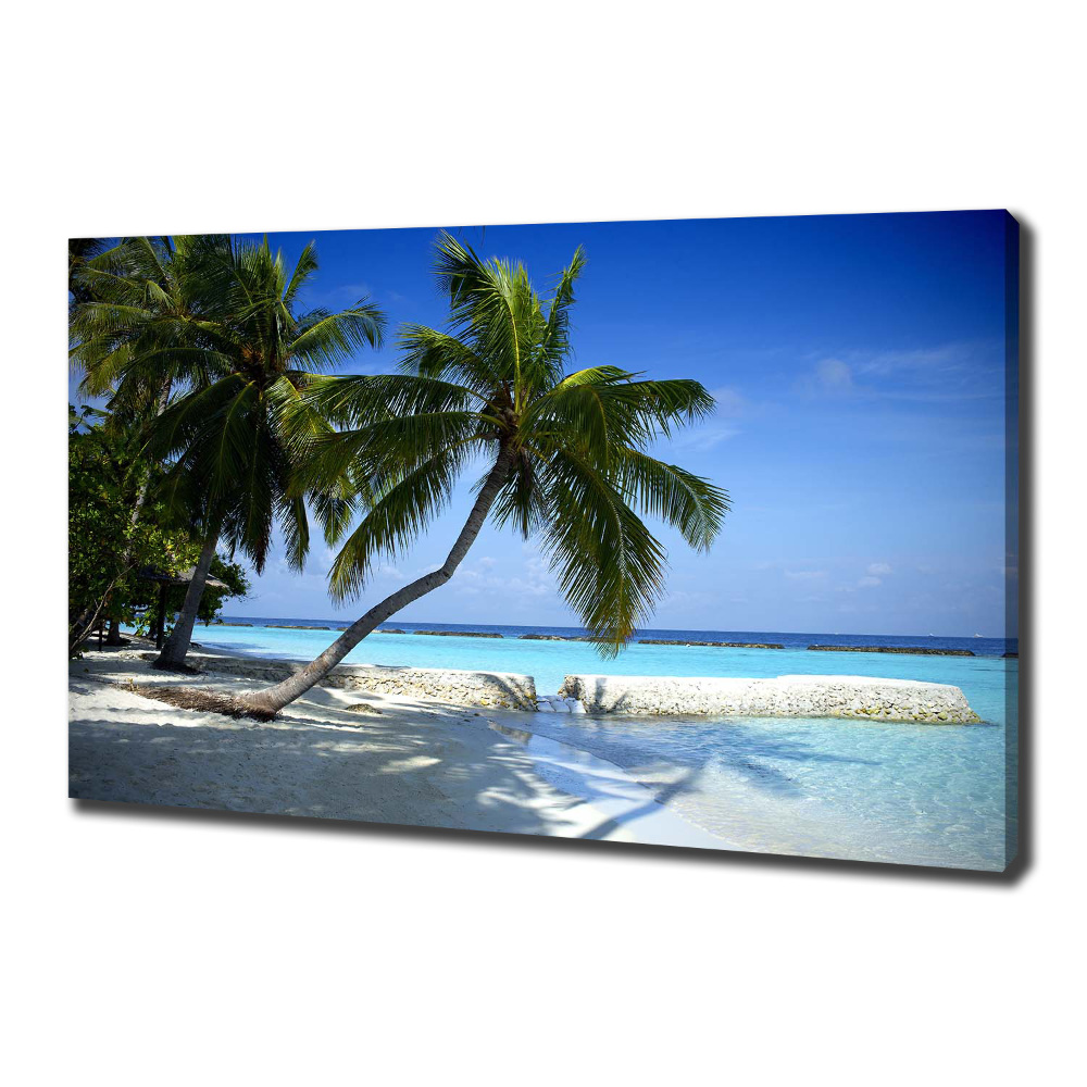 Tableau mural sur toile Plage exotique