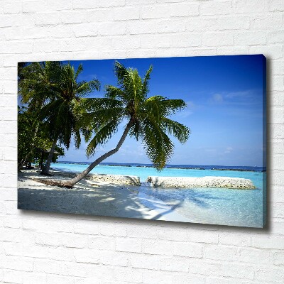 Tableau mural sur toile Plage exotique