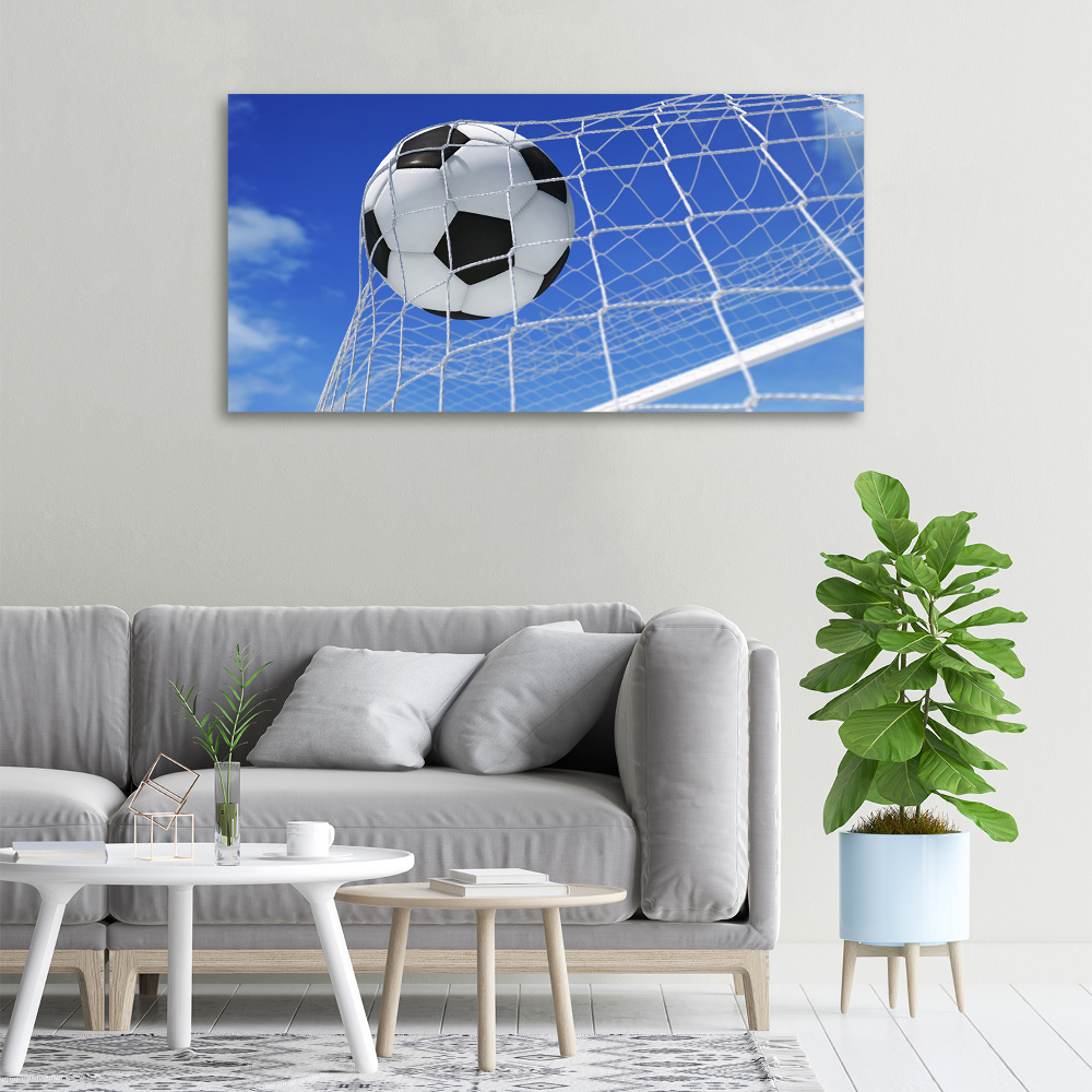 Tableau sur toile Le ballon dans les grilles