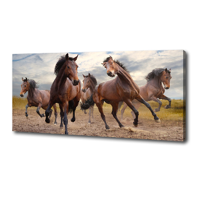 Tableau imprimé sur toile Cinq chevaux