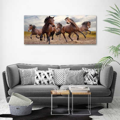 Tableau imprimé sur toile Cinq chevaux