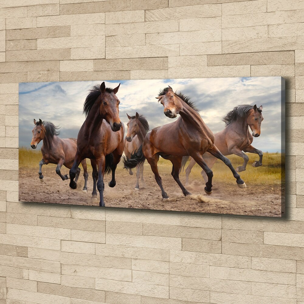 Tableau imprimé sur toile Cinq chevaux