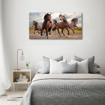 Tableau imprimé sur toile Cinq chevaux