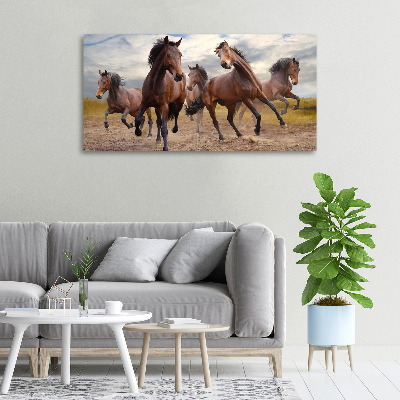 Tableau imprimé sur toile Cinq chevaux