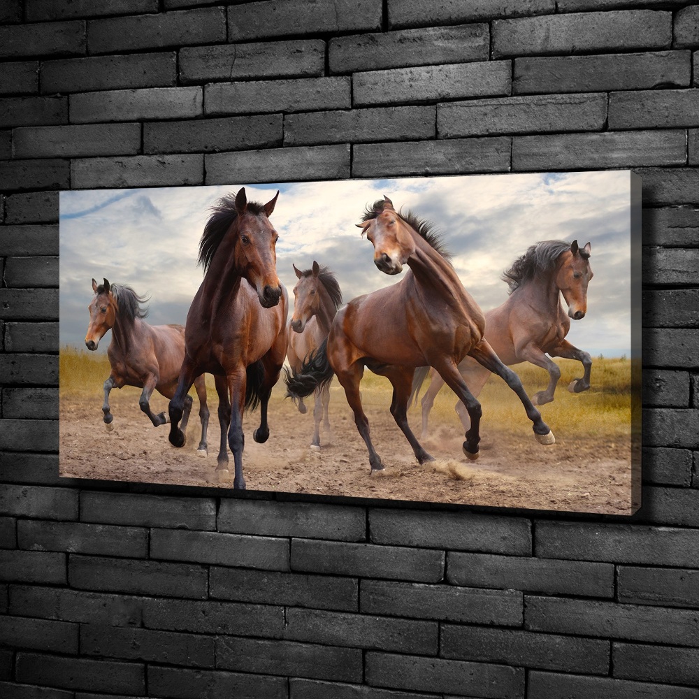 Tableau imprimé sur toile Cinq chevaux