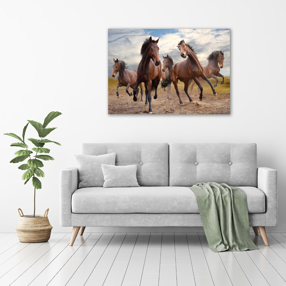 Tableau imprimé sur toile Cinq chevaux