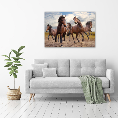 Tableau imprimé sur toile Cinq chevaux