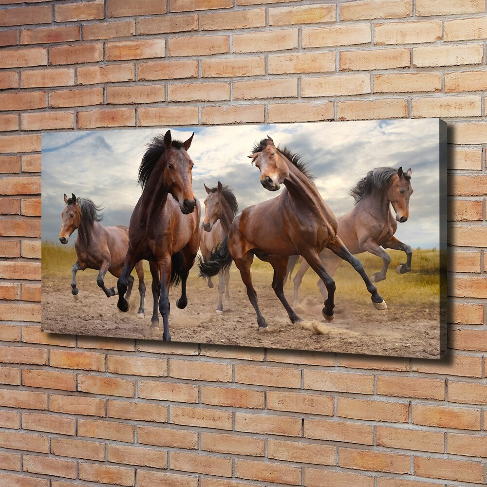 Tableau imprimé sur toile Cinq chevaux