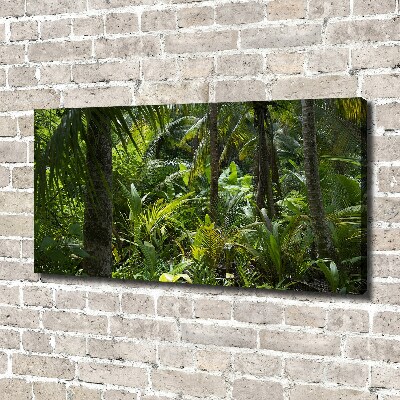 Tableau toile imprimée Forêt tropicale