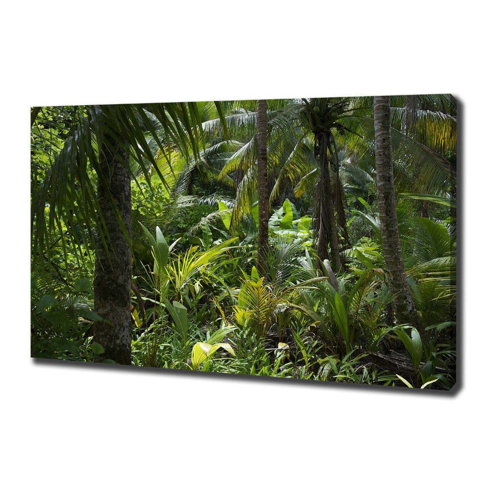 Tableau toile imprimée Forêt tropicale