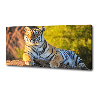 Tableau photo sur toile Portrait d'un tigre