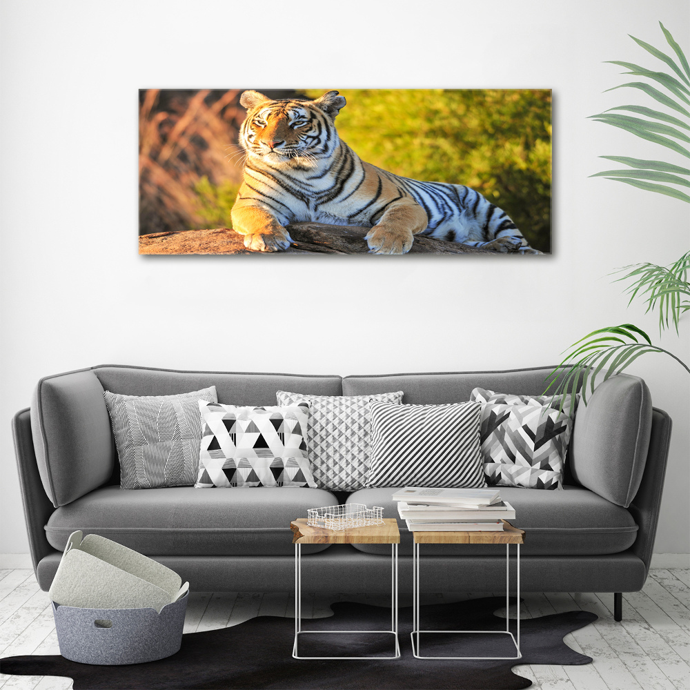 Tableau photo sur toile Portrait d'un tigre