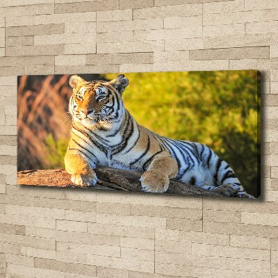 Tableau photo sur toile Portrait d'un tigre