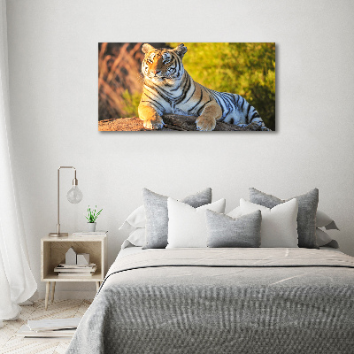 Tableau photo sur toile Portrait d'un tigre