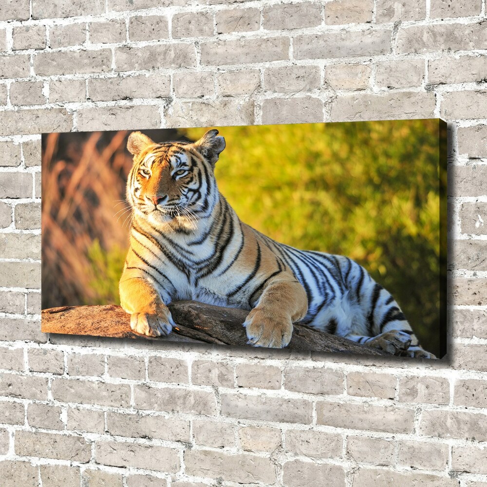 Tableau photo sur toile Portrait d'un tigre