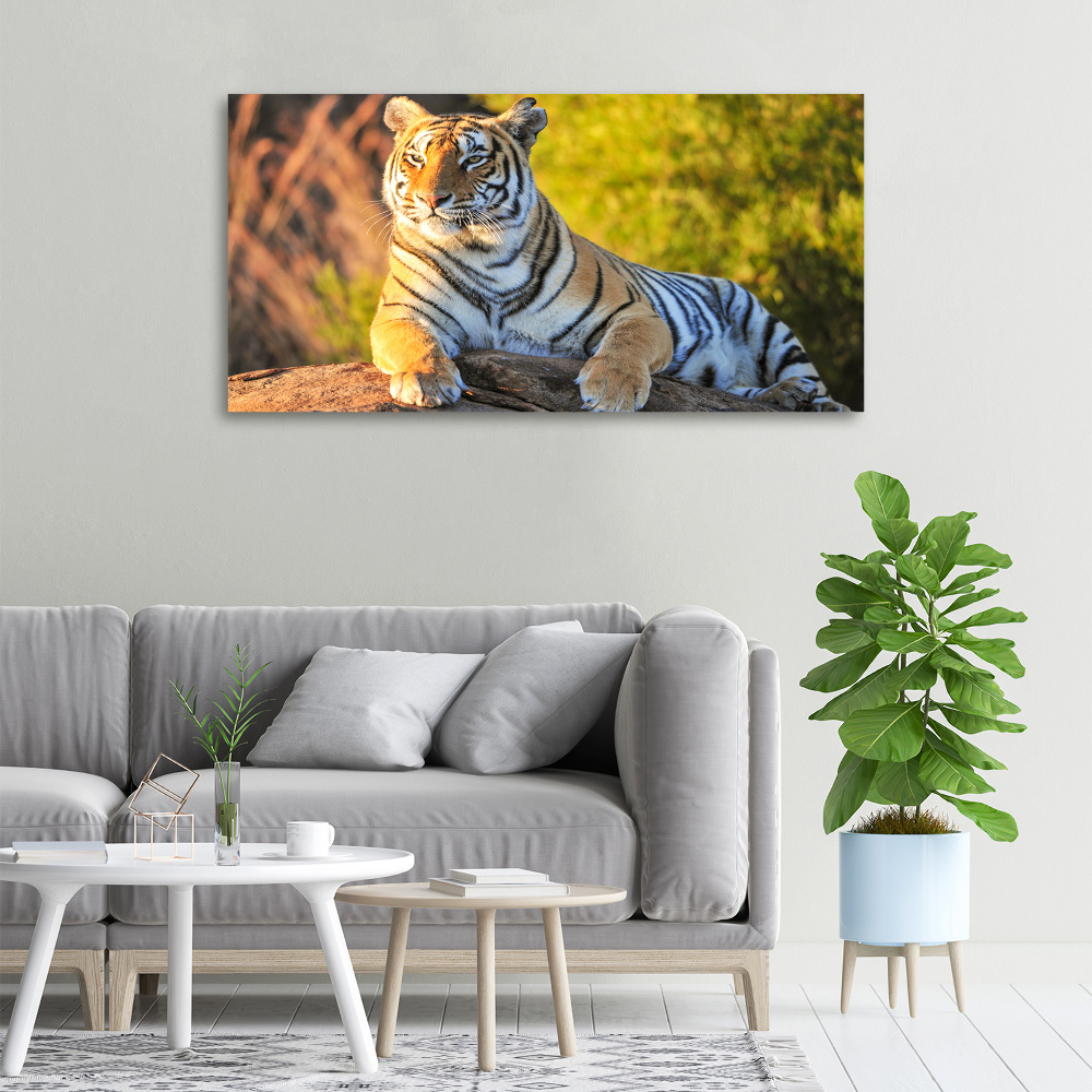 Tableau photo sur toile Portrait d'un tigre