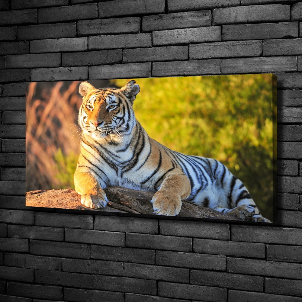 Tableau photo sur toile Portrait d'un tigre