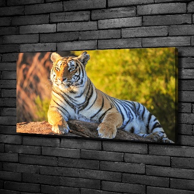 Tableau photo sur toile Portrait d'un tigre