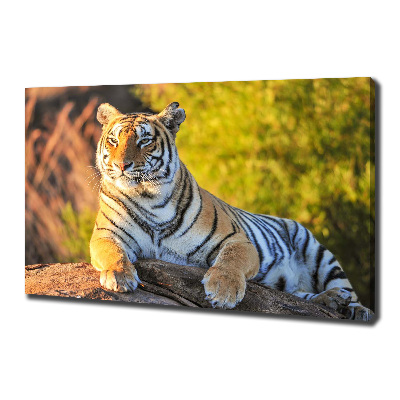 Tableau photo sur toile Portrait d'un tigre