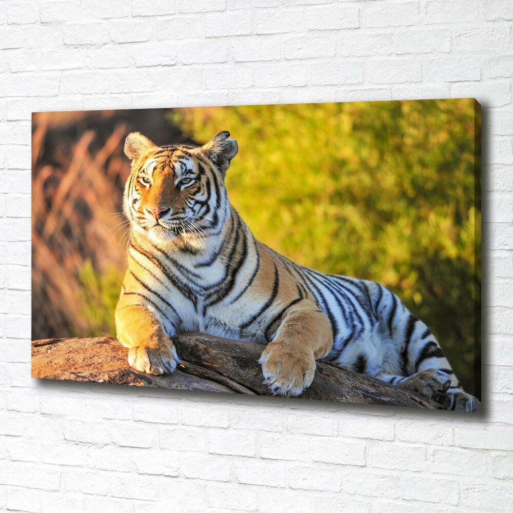 Tableau photo sur toile Portrait d'un tigre