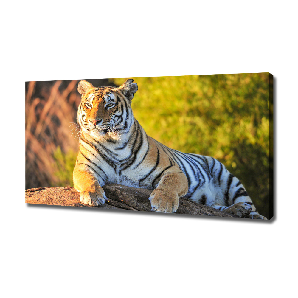 Tableau photo sur toile Portrait d'un tigre