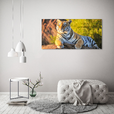 Tableau photo sur toile Portrait d'un tigre