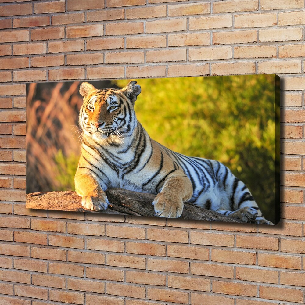 Tableau photo sur toile Portrait d'un tigre