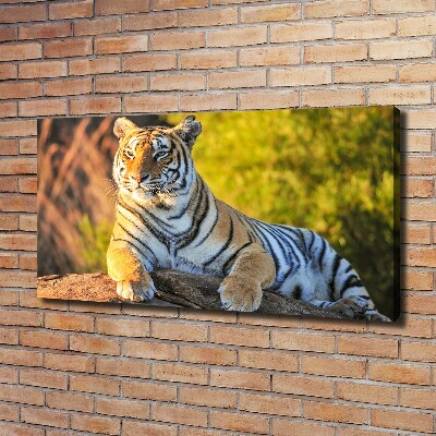 Tableau photo sur toile Portrait d'un tigre