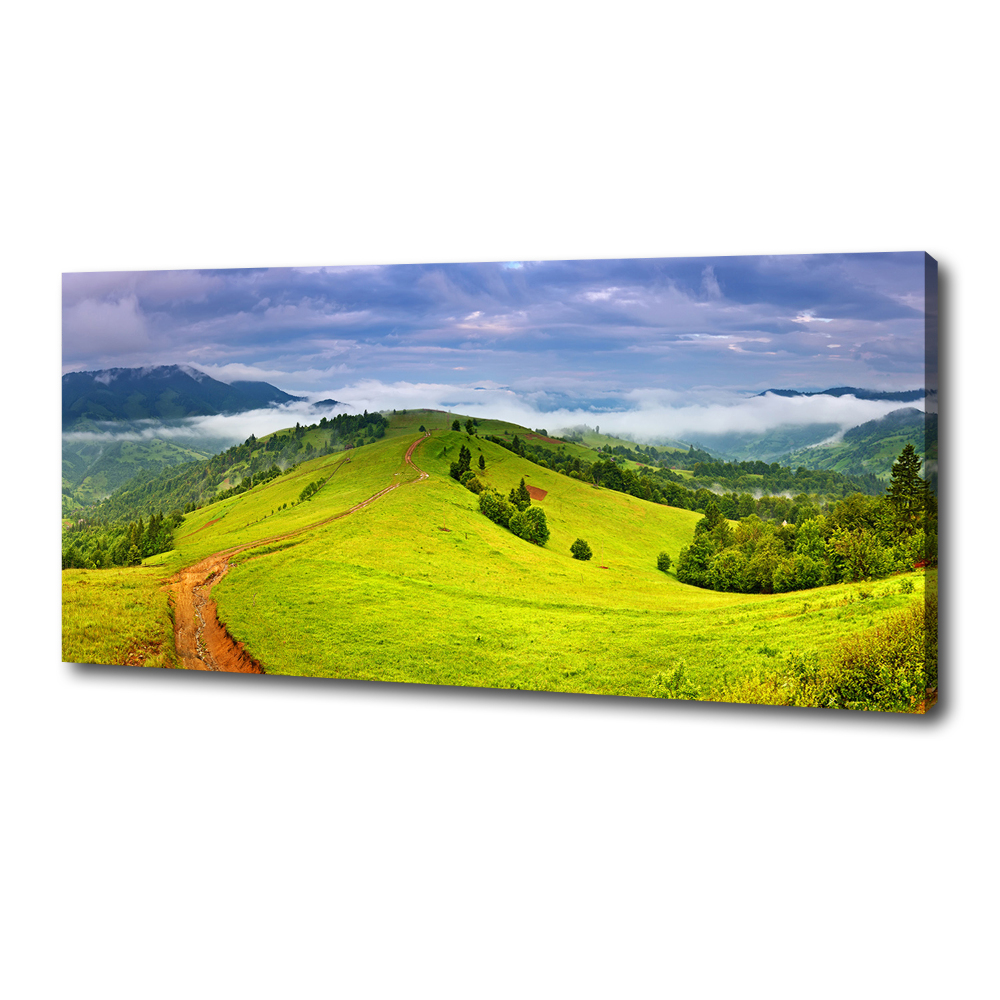 Tableau sur toile Collines vertes