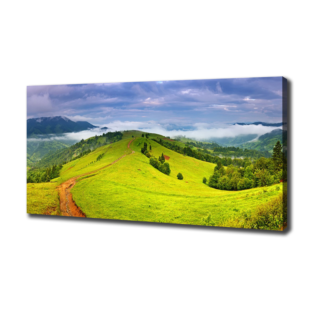 Tableau sur toile Collines vertes